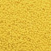TOHO 11/0 Round Beads X-SEED-TR11-0042B-2