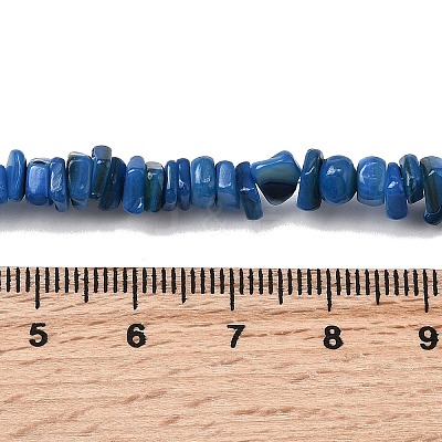 Natural Freshwater Shell Beads SHEL-B003-01M-1