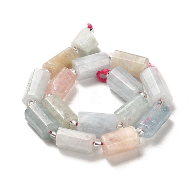 Natural Morganite Beads Strands G-N327-06-03-1