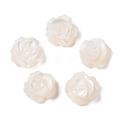 Natural White Shell Beads SSHEL-C012-06-1