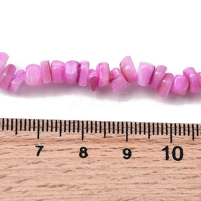 Natural Freshwater Shell Beads SHEL-B003-01F-1