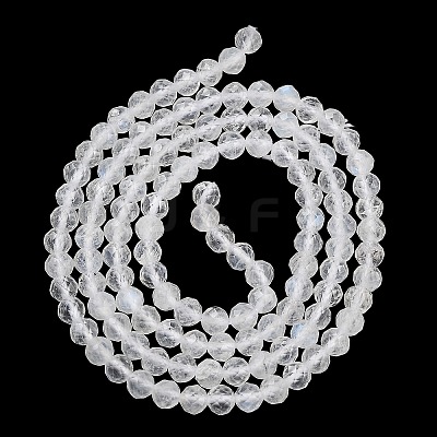 Faceted Round Natural Rainbow Moonstone Bead Strands G-F289-05-1