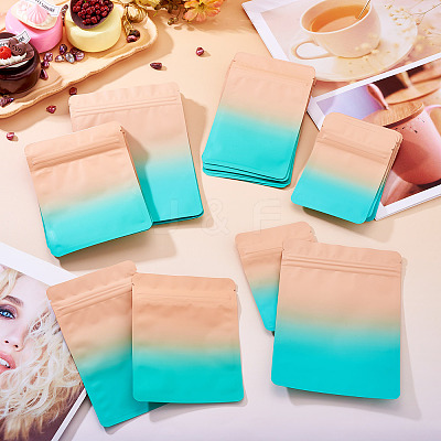 100Pcs 4 Styles PET Zipper Bags OPP-TA0001-19A-1