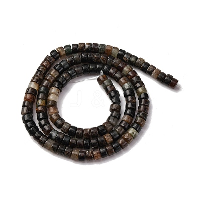 Natural Biotite Beads Strands G-L624-I12-2x4mm-1