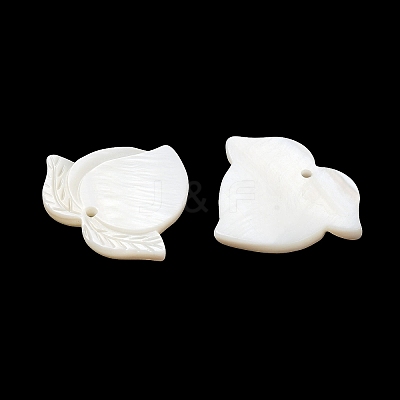Natural Freshwater Shell Pendants SHEL-K006-09-1