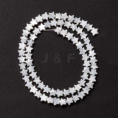 Natural Trochid Shell/Trochus Shell Beads SSHEL-O001-25A-01-1