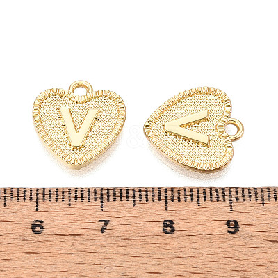 Alloy Pendants PALLOY-N157-001V-NR-1