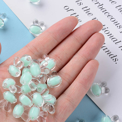 Transparent Acrylic Beads TACR-S152-05A-SS2111-1