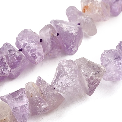 Natural Amethyst Beads Strands G-I283-F24-1