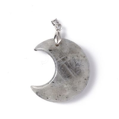 Natural Labradorite Pendants G-Z022-04L-1