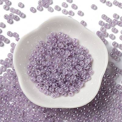 Glass Seed Beads SEED-H002-E-A1421-1