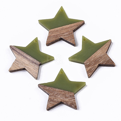 Resin & Wood Pendants RESI-T023-23F-1