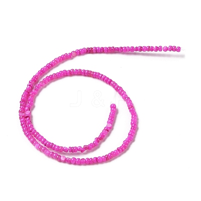 Natural Freshwater Shell Beads Strands SHEL-P017-01B-01-1