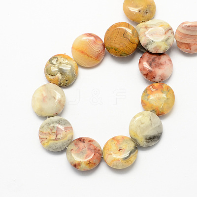 Flat Round Natural Crazy Lace Agate Beads Strands G-S110-14mm-05-1