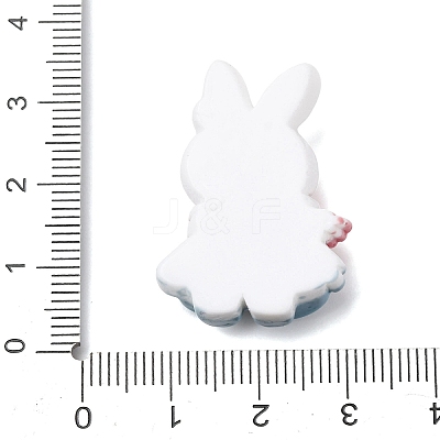 Animal Theme Opaque Resin Cabochons RESI-Z051-01A-1