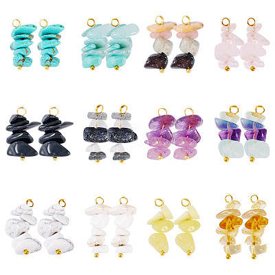 24Pcs 12 Styles Mixed Gemstone Chip Pendants PALLOY-TAC0166-1