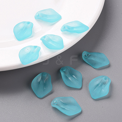 Transparent Frosted Acrylic Pendants MACR-S371-03A-755-1