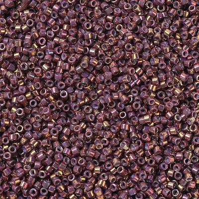 MIYUKI Delica Beads Small SEED-JP0008-DBS1013-1