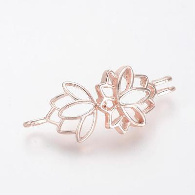 Alloy Diffuser Locket Pendants PALLOY-S062-40RG-1