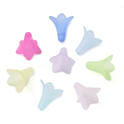 Transparent Acrylic Beads FACR-Q009-15-1