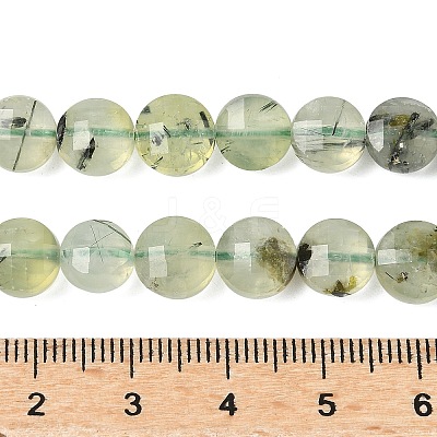 Natural Prehnite Beads Strands G-C179-A51-03-1