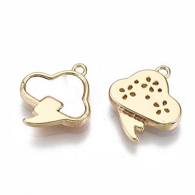 Natural Sea Shell Charms KK-S354-262-NF-1