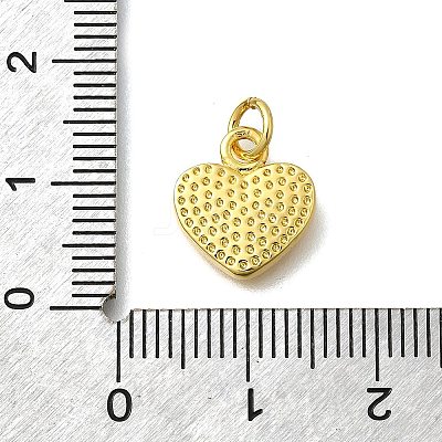 Brass with Enamel Pendants KK-D295-26G-01-1