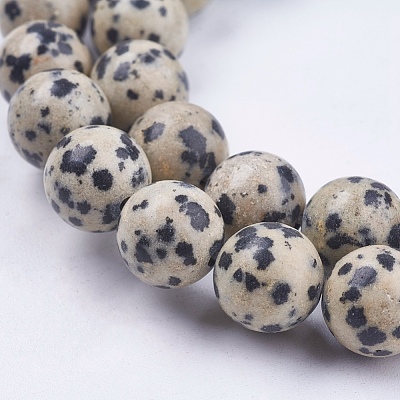 Natural Dalmatian Jasper Stone Bead Strands G-R193-14-10mm-1