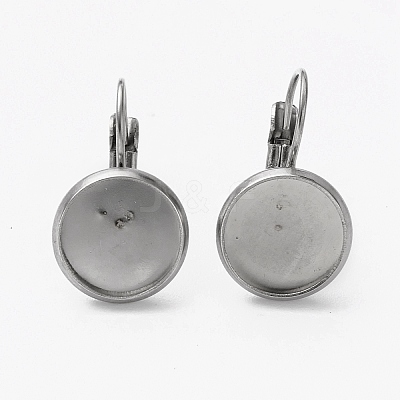Tarnish Resistant 304 Stainless Steel Leverback Earring Findings LS-STAS-L253-005D-P-1