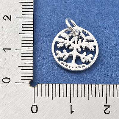 925 Sterling Silver Charms STER-S009-01C-S-1