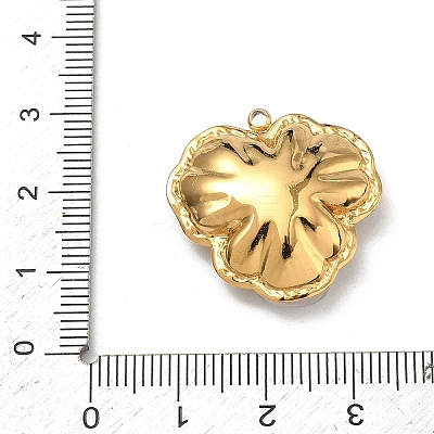 304 Stainless Steel Pendants STAS-C174-15G-04-1