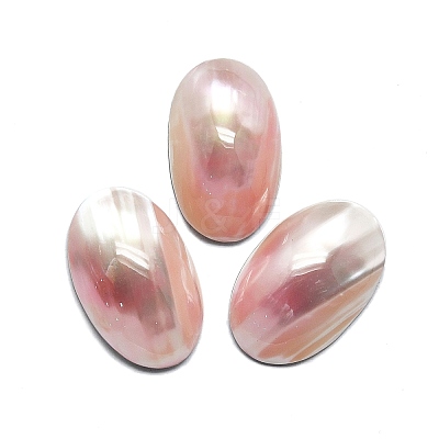 Natural Shell Cabochons SHEL-K008-07B-1