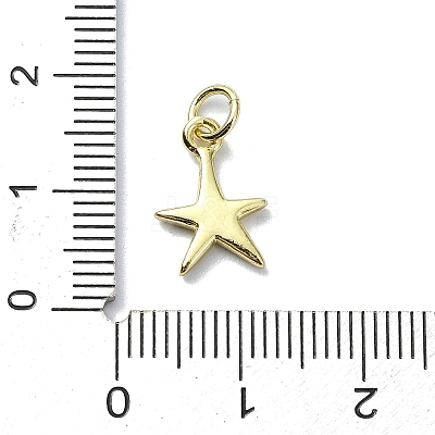 Brass Charms KK-H475-38G-03-1