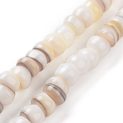 Natural Cultured Freshwater Shell Beads Strands SHEL-F002-01D-1