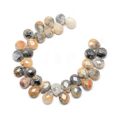 Natural Crazy Lace Agate Gemstone Beads Strands G-T006-10-1