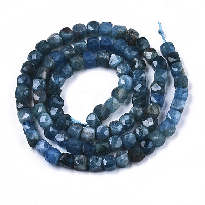 Natural Apatite Beads Strands G-N328-031-1