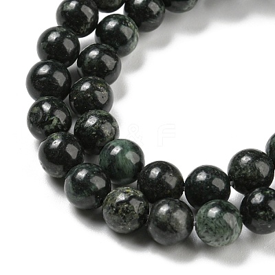 Natural Serpentine Beads Strands G-P504-6mm-01-1