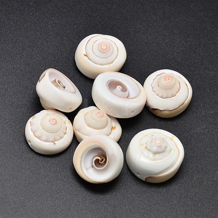 Spiral Shell Beads X-BSHE-O007-29-1