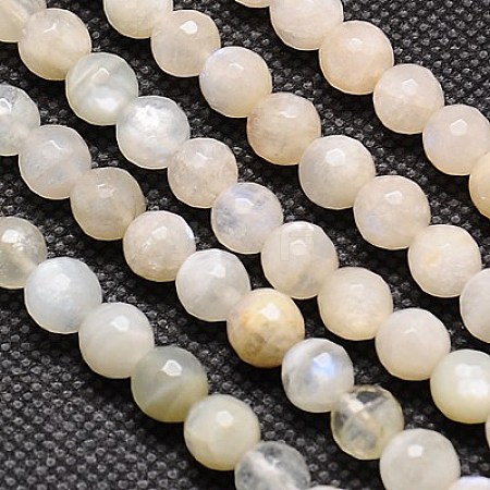 Natural White Moonstone Beads Strands X-G-G549-6mm-01-1