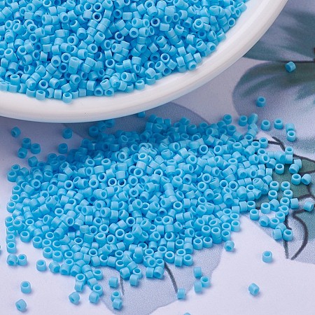 MIYUKI Delica Beads SEED-MY11-DB0879-1