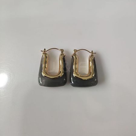 Zinc Alloy Resin Hoop Earrings FS-WG1C3F9-02-1
