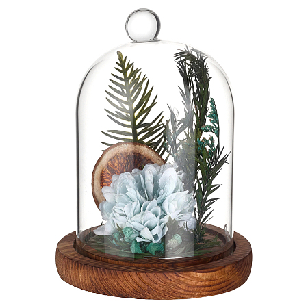 Arch Glass Dome Cover AJEW-WH0481-606D-1