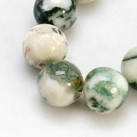 Natural Tree Agate Beads Strands X-G-H1633-10MM-1