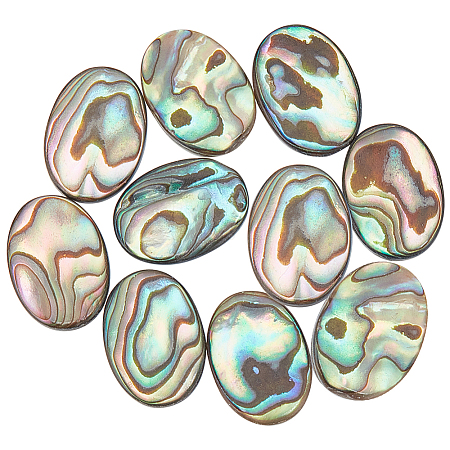 BENECREAT 10Pcs Natural Paua Shell Cabochons FIND-BC0005-54-1