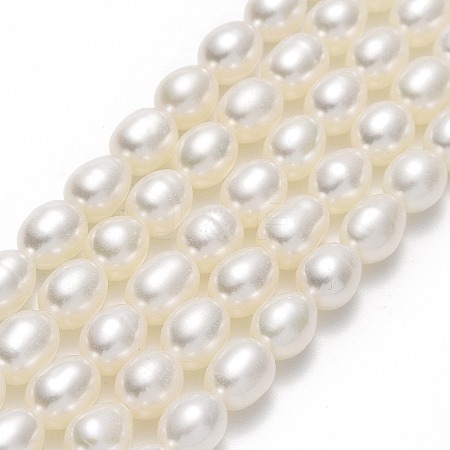 Natural Cultured Freshwater Pearl Beads Strands PEAR-J006-17B-01-1