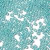 Glass Seed Beads SEED-H002-E-A1419-3