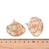 Natural Scallop Shell Pendants SSHEL-N038-15-3