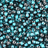 Transparent Inside Colours Glass Seed Beads SEED-T007-19A-07-2