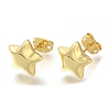 Rack Plating Brass Stud Earrring EJEW-L097-23G-2