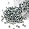 TOHO 6/0 Round Beads SEED-XTR06-PF0565-1